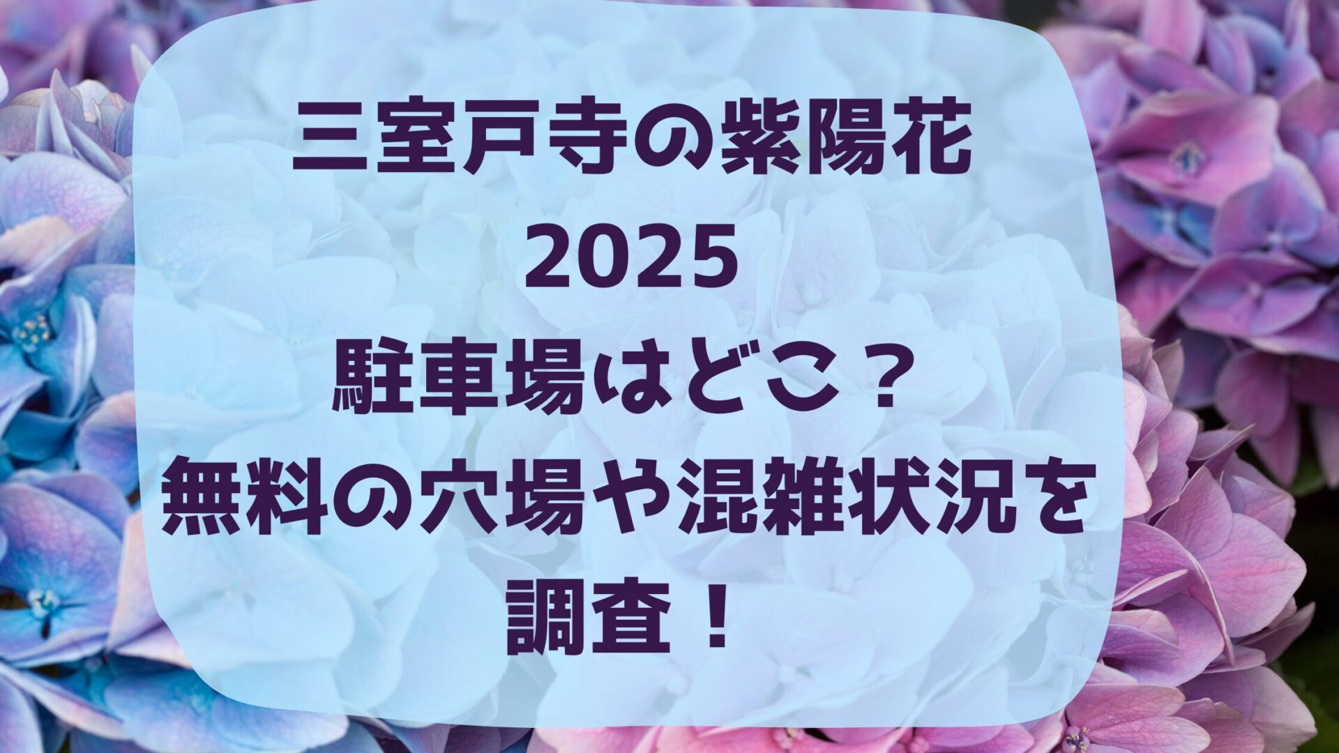三室戸寺の紫陽花2025駐車場はどこ？無料の穴場や混雑状況を調査！