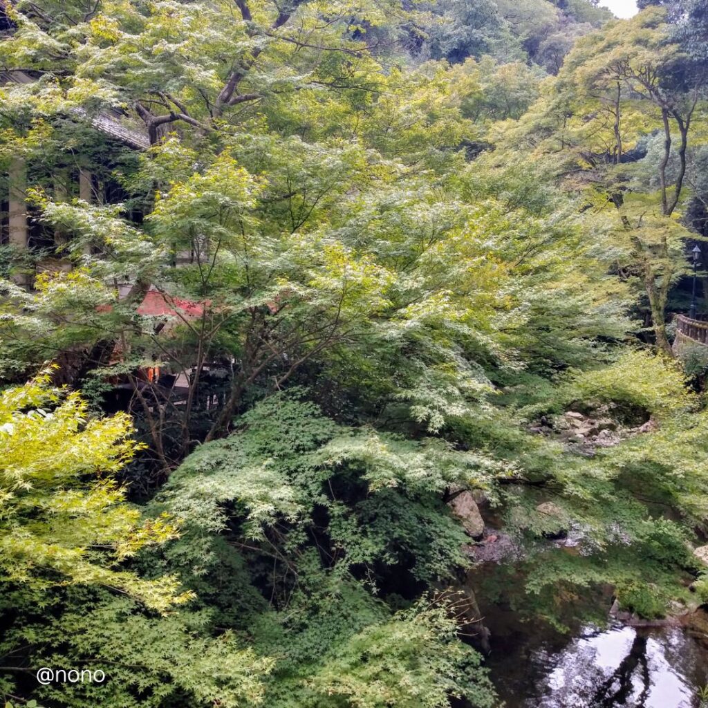 箕面の滝に続く山道