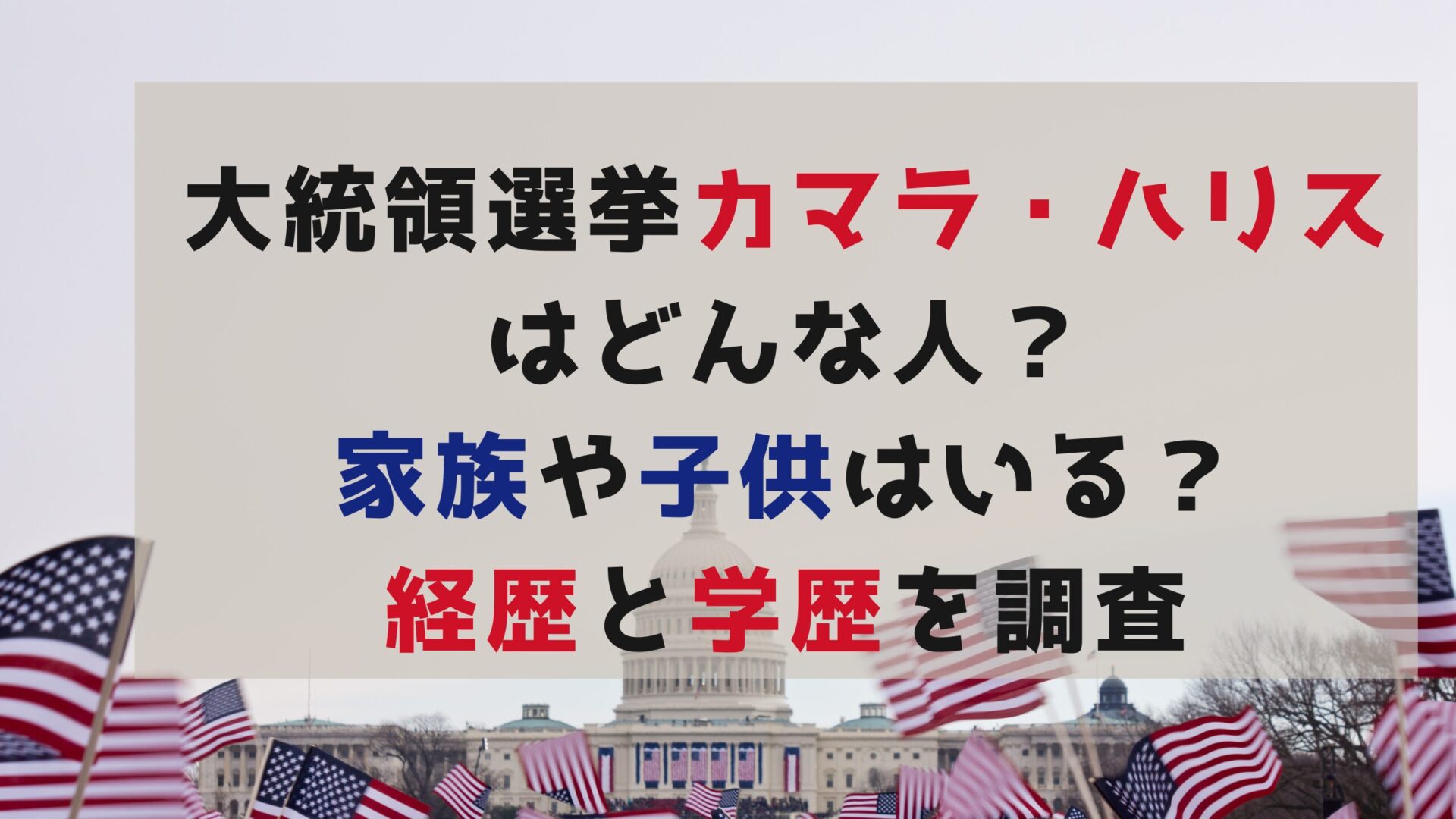 大統領選挙カマラ・ハリスってどんな人？家族や子供はいる？経歴と学歴を調査タイトルとアメリカの旗背景画像