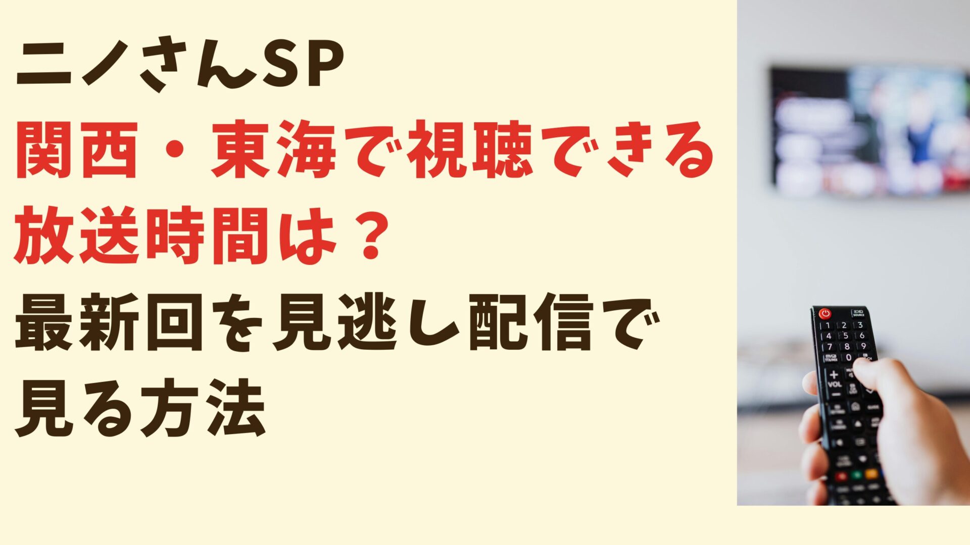 ニノさんSP 関西・東海で視聴できる放送時間は？最新回を見逃し配信で見る方法タイトル